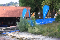 D0036