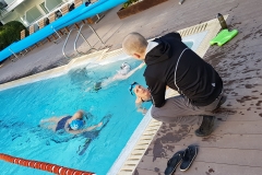 IMG-035