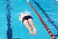 IMG-036
